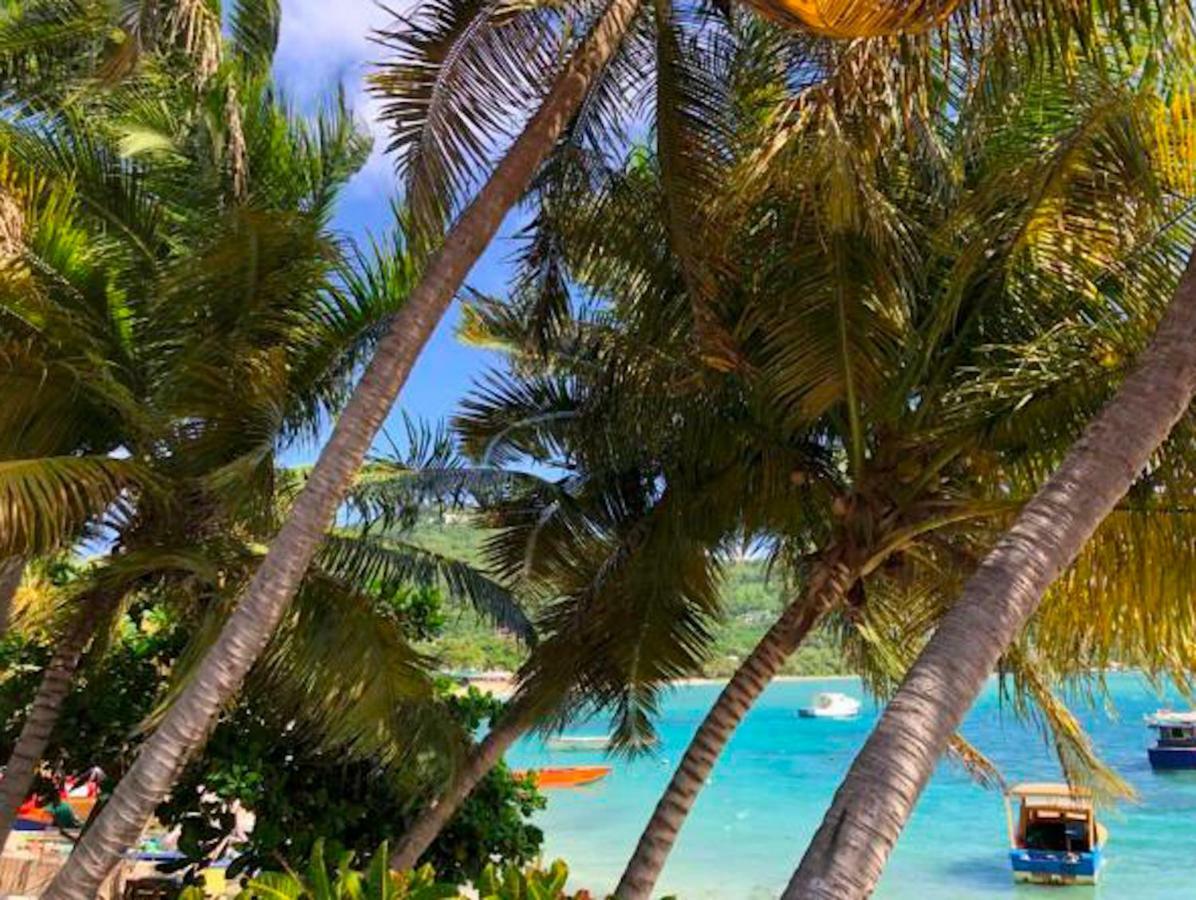 Bequia Beachfront Villa Hotel Friendship Екстериор снимка