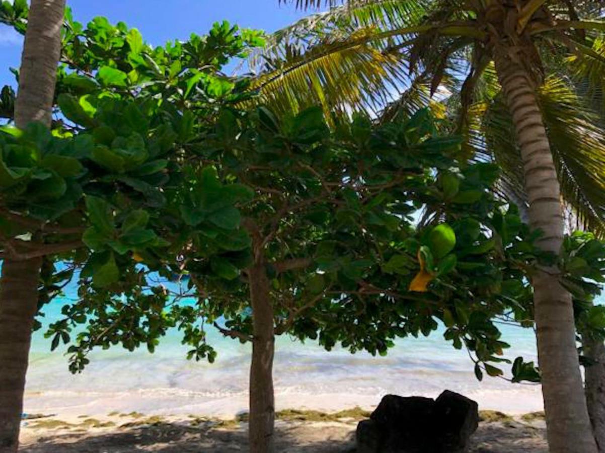 Bequia Beachfront Villa Hotel Friendship Екстериор снимка